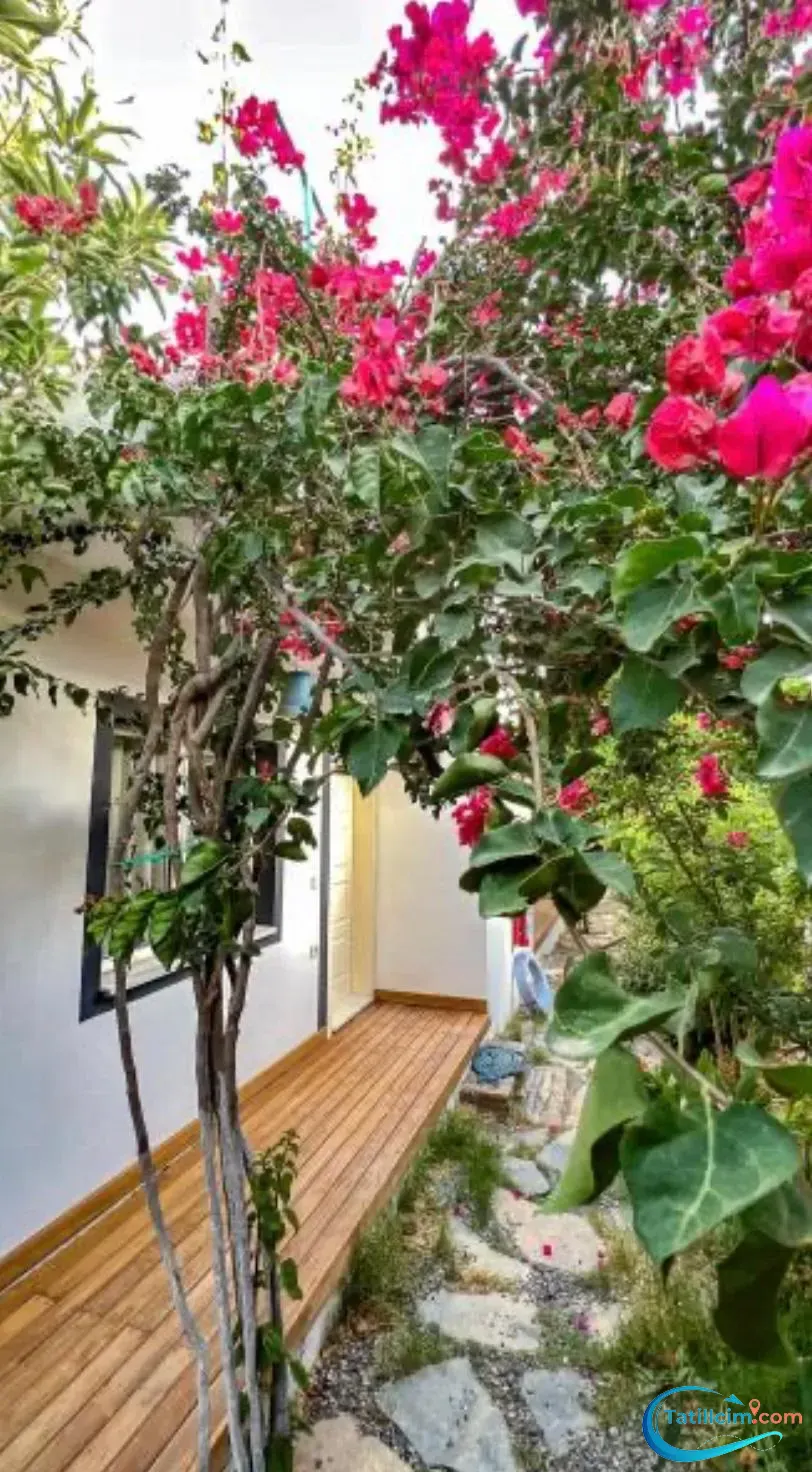 tatilcim.com Raslantı Pansiyon & Restaurant Standart Oda